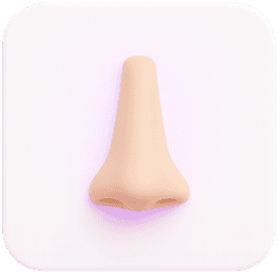 Straight Nose (Greek Nose)