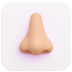 Nubian Nose (Wide Nose)